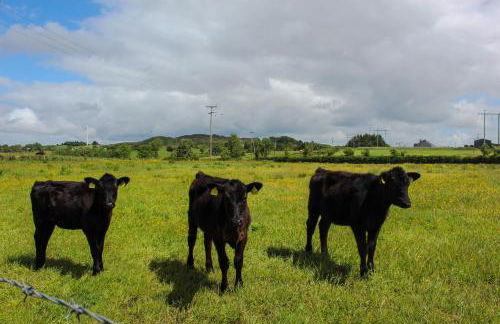 Creggan Deveskey Cottage New Hot Tub At Property - Foto 50