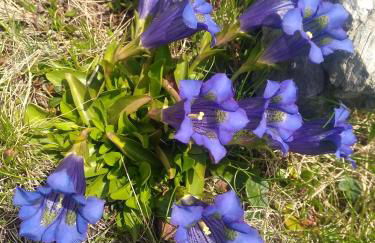 Villgraterhof - Foto 30