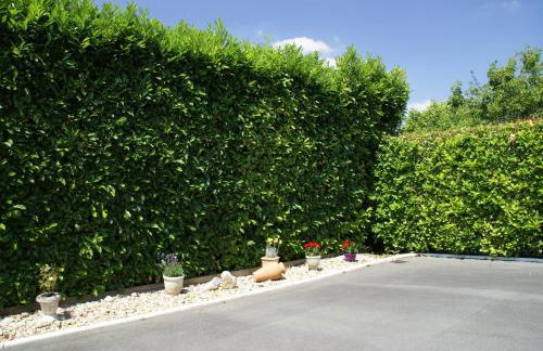 Côté plage - APPARTEMENT VILLA L'OLIVIER Vaux sur mer-Royan - Foto 19