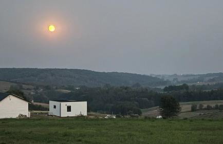 W Kręgu Natury - Foto 64