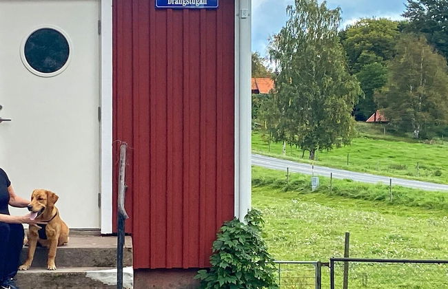 4 Person Holiday Home in Aneby-by Traum - Foto 26