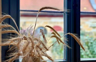 Cosy historic brewery with beautiful outdoor space - Foto 6