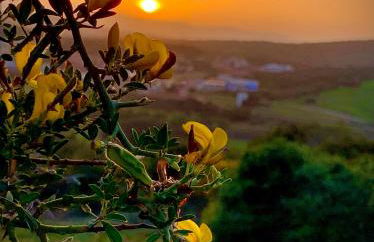 Residence L'Isola Surf House - Photo 43