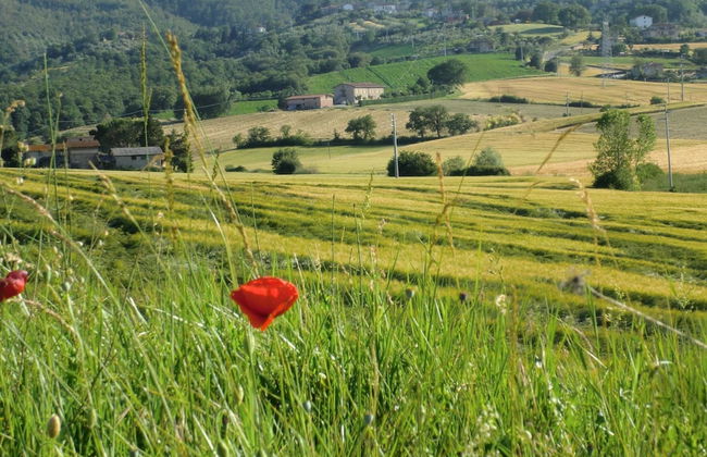 Holiday Home in Pietrafitta Near Lake Trasimeno - Photo 40