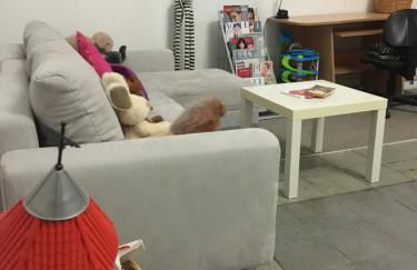 Dresden Lofts - Foto 21