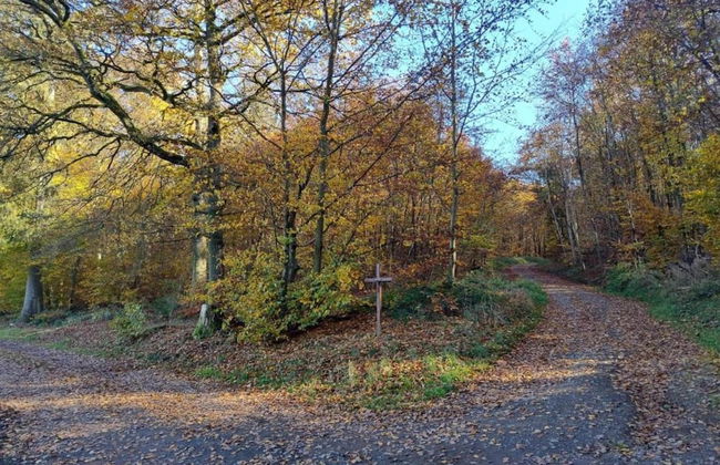 Apartment in Immerath Near Hiking Trails - Photo 32