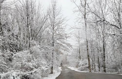 Lakeside Retreat with Hot Tub & Game Room home - Foto 60