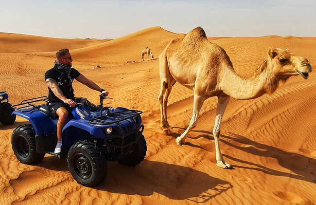 Dubai: Quad Bike Safari, Camels, & Camp with BBQ Dinner - Photo 10