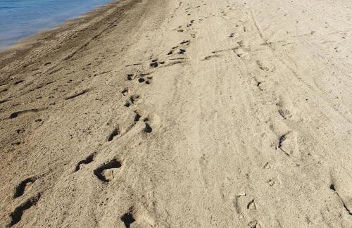 Beachfront apartment Plaza - Photo 31