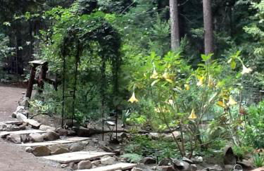 Private Glamping Getaway in the Redwoods near Santa Cruz, California - Foto 36