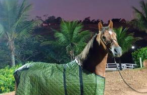 Sítio Haras Represa João Penido Luxo e conforto - Foto 2