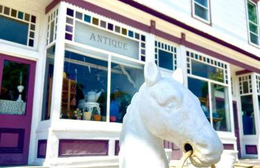 Vintage, Mid-Century Suite above Antique Store - Foto 21