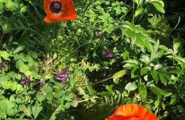 Apartment Montabaur Heiligenroth - Foto 13