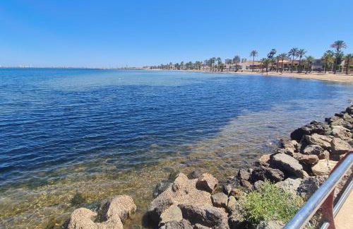 Palmerita 5 - Foto 18