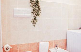 Home & Pet - Ontani Attico - Photo 17