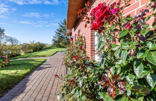 Ferienhaus Blick ins Tüterland - Foto 22