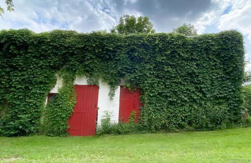 Ferienhaus Sohrmühle - Foto 27