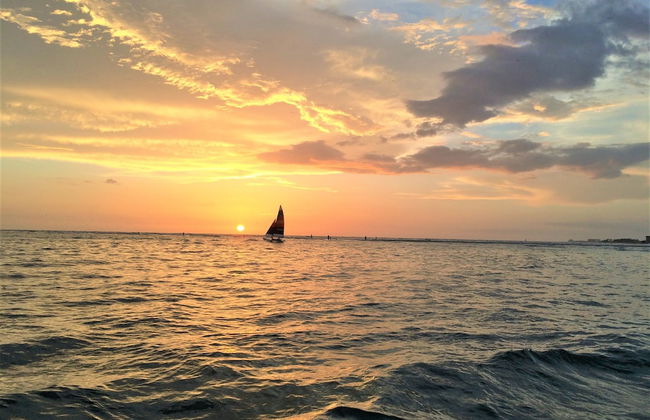 Siesta Palms By the Beach - Photo 72