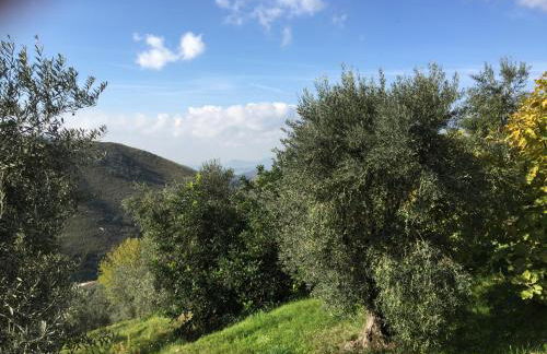 I Giardini Di Margius - Foto 79