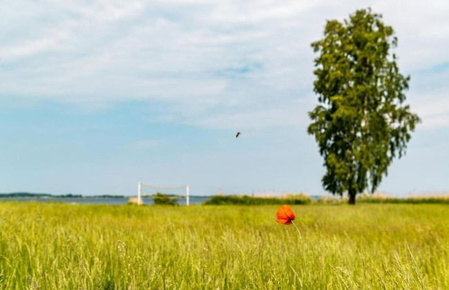 Appartement mit Fantastischer Aussicht - Foto 13