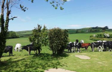 The Studio - Foto 16