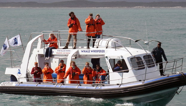Safari de um dia inteiro: Os cinco grandes do oceano - Foto 3