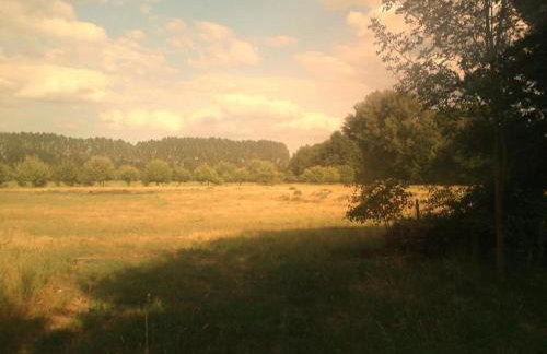 Waldblick Forest Retreat - Foto 77