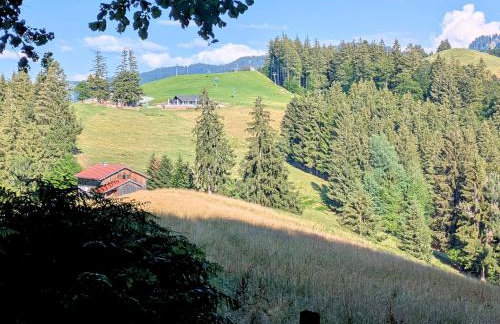 Vital Lodge Allgäu mit Schwimmbad, Sauna & Oberstaufen PLUS - Foto 25