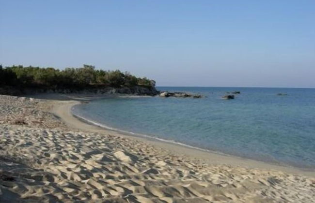 Liana Marouli - Foto 44