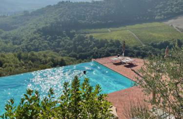 Castello Vicchiomaggio - Foto 8