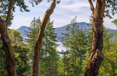 Beautiful WaterViews, Pet-Friendly, Close to Town - Foto 1