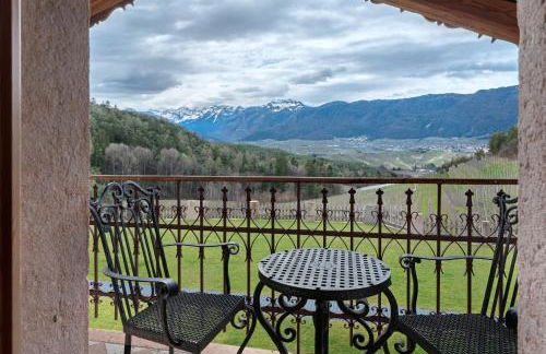 Agriturismo Alpenvidehof - Foto 45