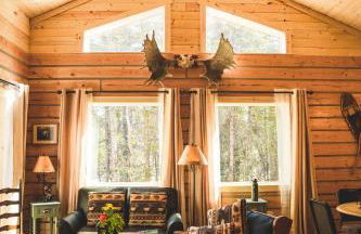 Denali Wild Stay - Moose Cabin, Free Wifi, 2 private bedrooms, sleep 6 - Photo 2