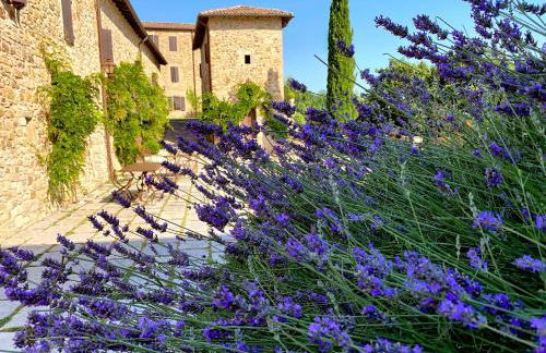 Castello di Viano - Foto 71