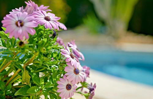 Villa Mariposa - Foto 46