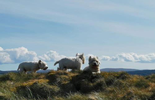 Balbeg Cottage - Photo 32