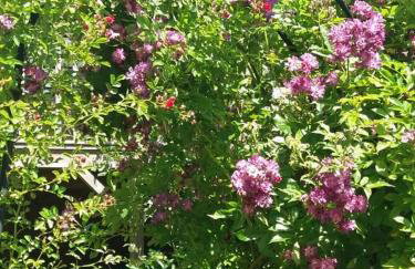 The Retreat - Foto 23