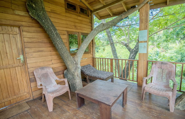 Wilpattu Tree House Hotel - Foto 22