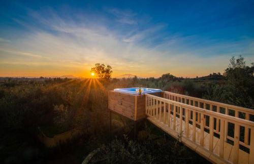 Zante Lagos holiday homes Treehouse and Villa - Foto 19