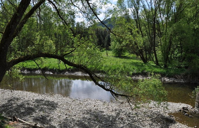 Talferienhaus, Sauerland - Foto 28
