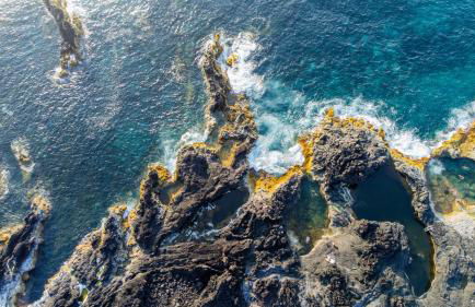 Green Mountain - Foto 18