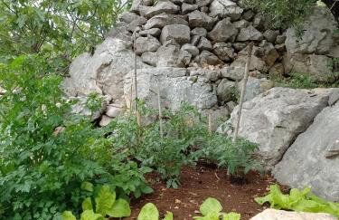 Roberto Apartment - Foto 19