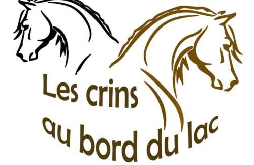 Les Crins au Bord du Lac - Foto 33