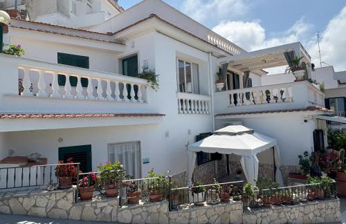 Sunderville Superior - Foto 16