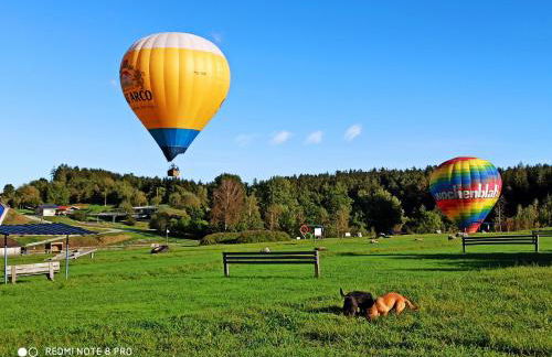 Baumhaus Hotel Voglsam - Foto 30