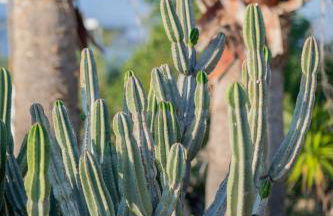 Antonina Hotel Apartments - Foto 8