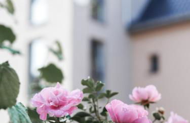 Burg Domizil - Foto 45