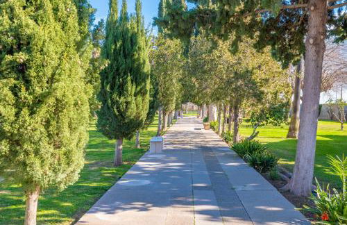 Es Moli dels Reis - Foto 6