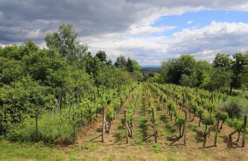 Kuća u prirodi, wellness oaza Kalimera - Foto 16