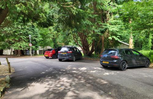 Bumbeldink - Foto 44